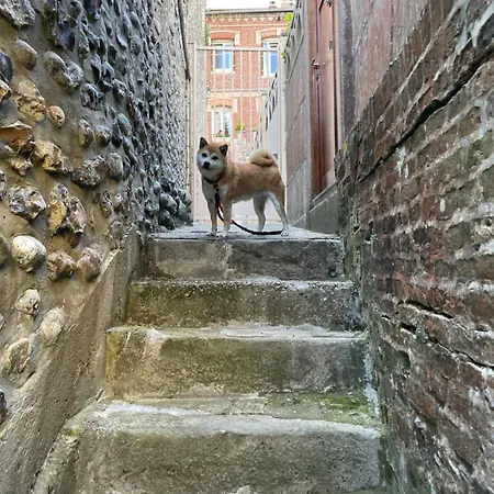 Le Grand Dan - Charming 2-8 Guests Appartement *