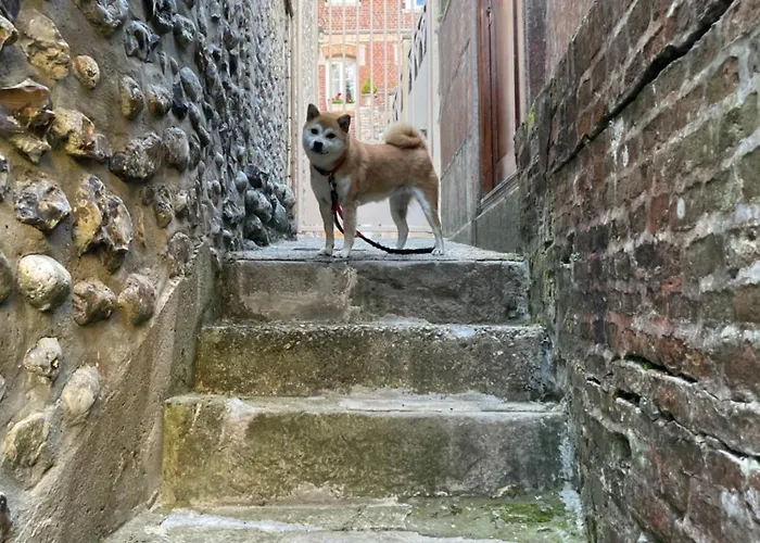 Le Grand Dans - Charming 2-8 Guests Apartment *